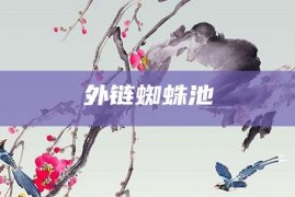 外链蜘蛛池