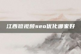 江西短视频seo优化哪家好