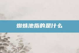 蜘蛛池指的是什么