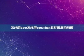 怎样用seo怎样用section软件做联合剖面