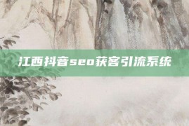 江西抖音seo获客引流系统