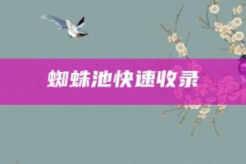 蜘蛛池快速收录