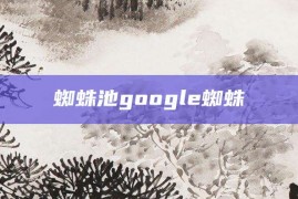 蜘蛛池google蜘蛛