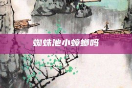 蜘蛛池小蟑螂吗