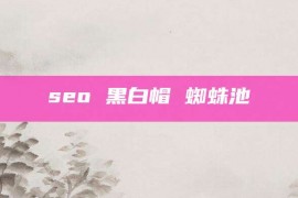 seo 黑白帽 蜘蛛池