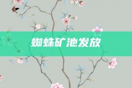 蜘蛛矿池发放