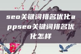 seo关键词排名优化appseo关键词排名优化怎样