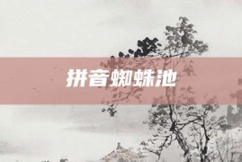 拼音蜘蛛池