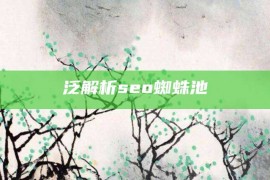 泛解析seo蜘蛛池