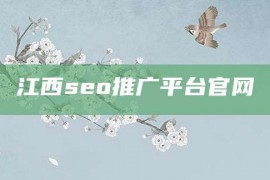 江西seo推广平台官网