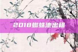 2018蜘蛛池出租