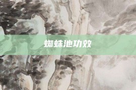 蜘蛛池功效