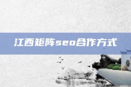 江西矩阵seo合作方式