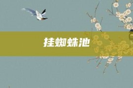 挂蜘蛛池