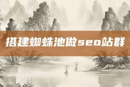 搭建蜘蛛池做seo站群