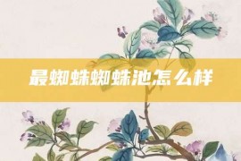 最蜘蛛蜘蛛池怎么样