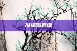 搭建蜘蛛池