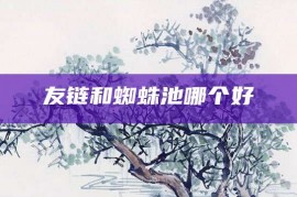 友链和蜘蛛池哪个好