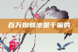 百万蜘蛛池是干嘛的