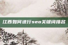 江西如何进行seo关键词排名