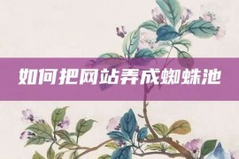 如何把网站弄成蜘蛛池