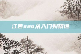 江西seo从入门到精通