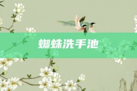 蜘蛛洗手池