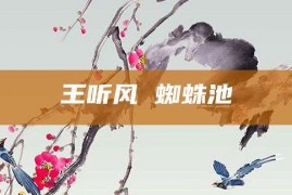 王听风 蜘蛛池