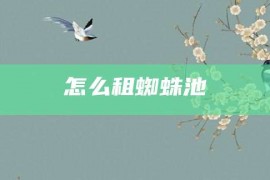 怎么租蜘蛛池