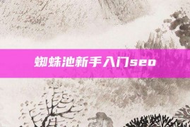 蜘蛛池新手入门seo