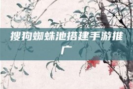 搜狗蜘蛛池搭建手游推广