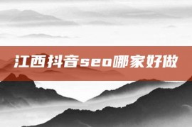 江西抖音seo哪家好做