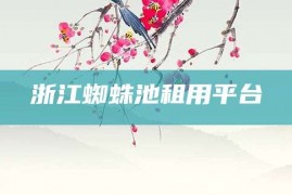 浙江蜘蛛池租用平台