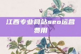 江西专业网站seo运营费用