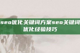 seo优化关键词方案seo关键词优化经验技巧