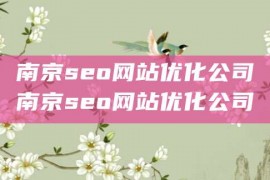 南京seo网站优化公司南京seo网站优化公司