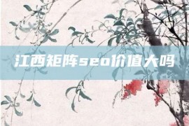 江西矩阵seo价值大吗