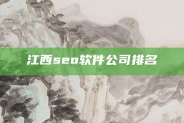 江西seo软件公司排名