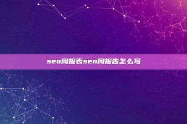 seo周报表seo周报告怎么写