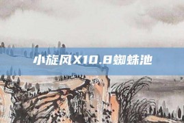 小旋风X10.8蜘蛛池