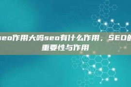 seo作用大吗seo有什么作用，SEO的重要性与作用