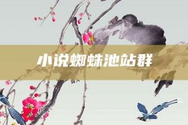 小说蜘蛛池站群