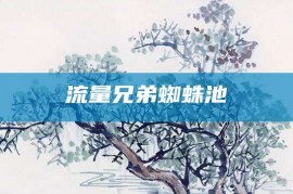 流量兄弟蜘蛛池