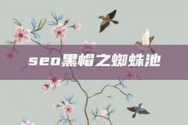 seo黑帽之蜘蛛池