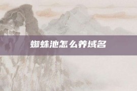 蜘蛛池怎么养域名