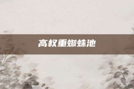 高权重蜘蛛池