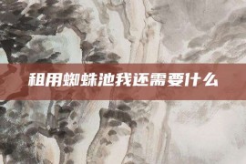 租用蜘蛛池我还需要什么