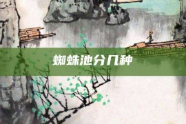 蜘蛛池分几种