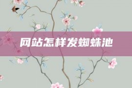 网站怎样发蜘蛛池