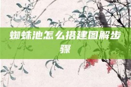 蜘蛛池怎么搭建图解步骤